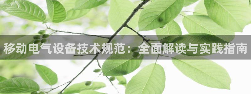 凯发官网登录免费下载