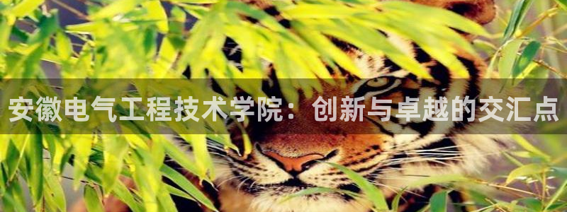 凯发官方在线