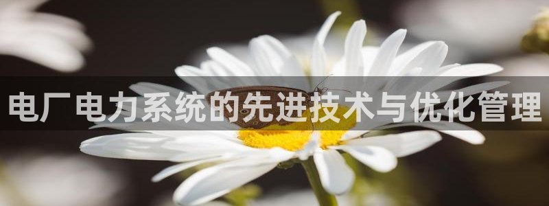 凯发平台轻7O777