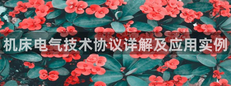 凯发国际可靠送38元