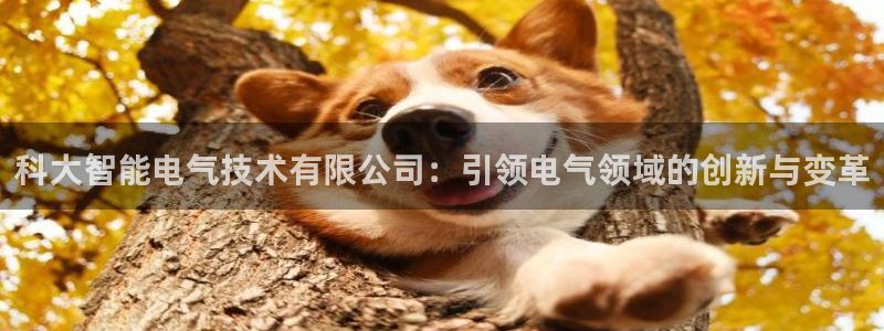 凯发k8官网do选来就送38