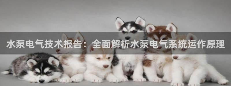 k8凯发国际首页