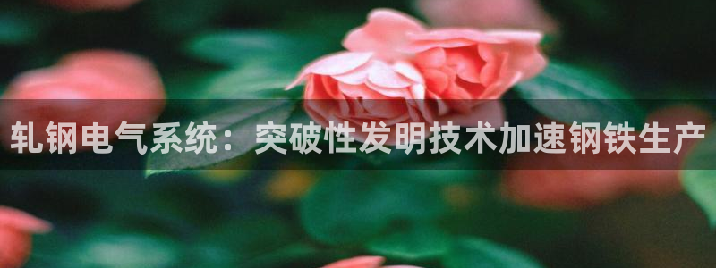 凯发app地址
