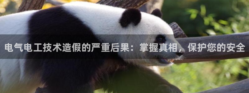 凯发k8国际手机网页