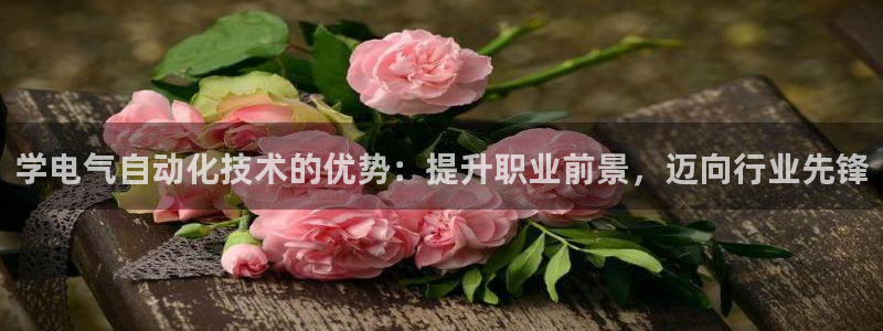 凯发k8娱乐是什么平台