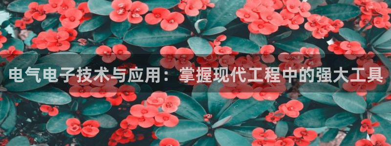 凯发k8国际|首页w来就送38元