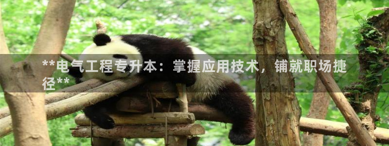 凯发k8555|手机版