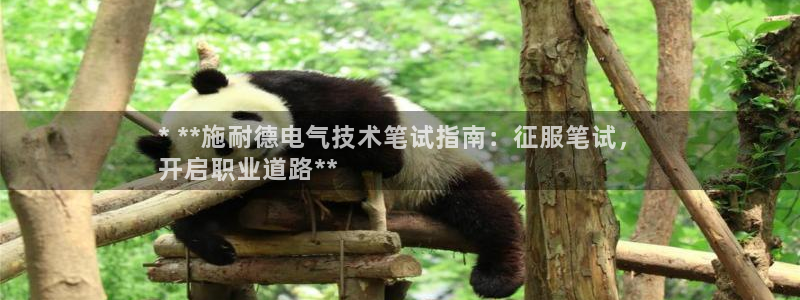 凯发国际怎么赚钱