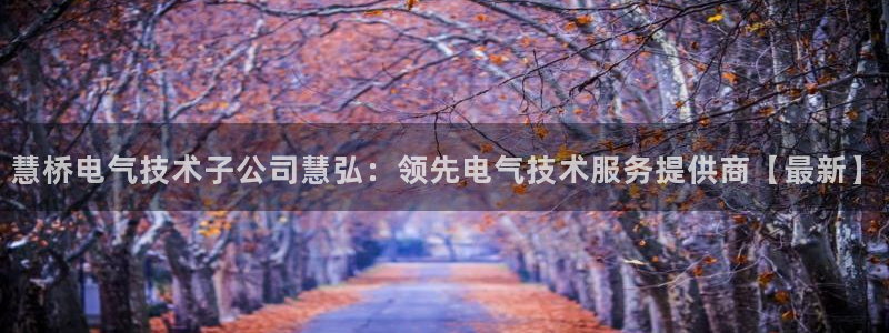 凯发网娱乐官网国际：慧桥电气技术子公司慧弘：领先电