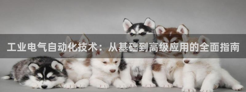 凯发国际官网下载